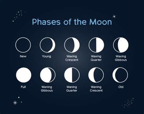 Details about Today's Moon Phase. Today - February 24, 2024 Moon Phase includes the Phase of the moon, and the percent of illumination Visible from earth. The Age of the moon in the lunation cycle of approximately 29.53 days for a full cycle from New Moon to the next New Moon.Angle representing the terminator phase angle as a …